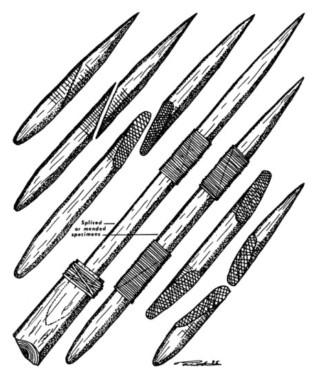 Tools Used by Early Man