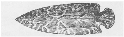 The Stanfield Knife: A Large Paleo Blade