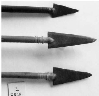 Thoughts and Artifacts Relating to the Battle of the Little Bighorn fig2