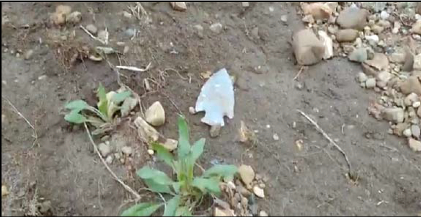 The Find of a Lifetime for a Young Hoosier Collector